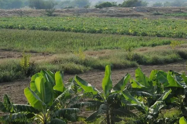 صندوق التنمية يدعم الفرص الاستثمارية كافة التي تتوافق مع ضوابط الصندوق (واس)