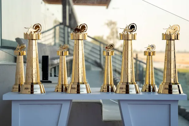 كؤوس مهرجان خادم الحرمين للهجن (الشرق الأوسط)