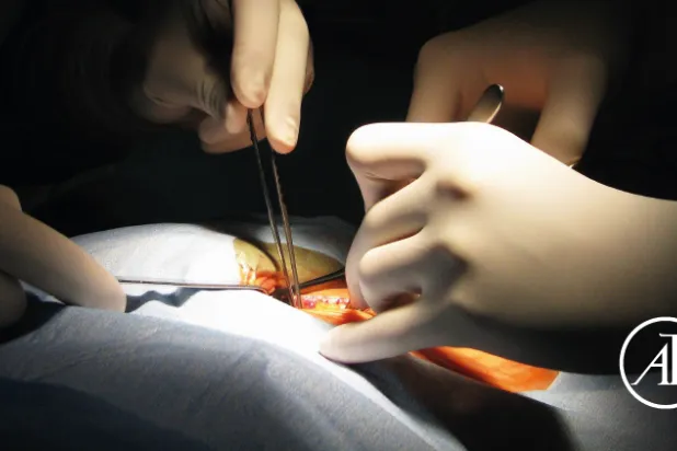 صورة غلاف الكتاب (الشرق الأوسط)