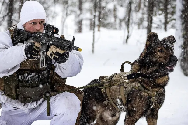 جندي يحمل بندقية آلية وبجواره كلب مدرب خلال تدريبات لحلف «الناتو» في الجليد (حلف «الناتو»)