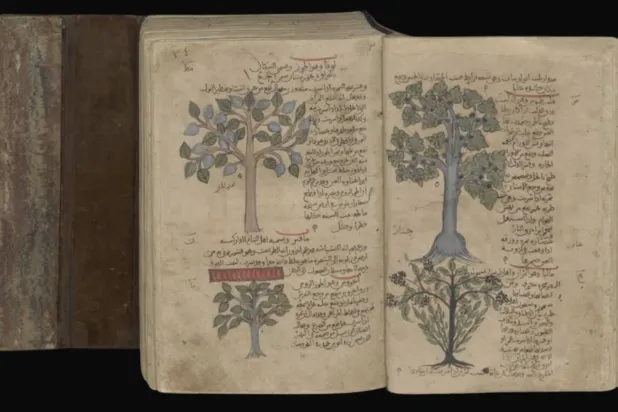 مخطوطات وُصفت بالرائعة (مكتبة جامعة لايدن)