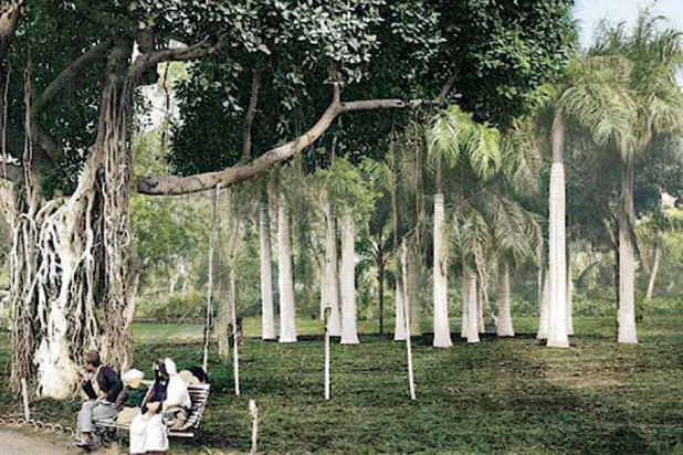 حديقة الأزبكية