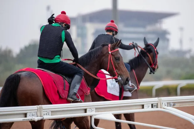 من استعدادات الخيول المشاركة في كأس السعودية (الشرق الأوسط)