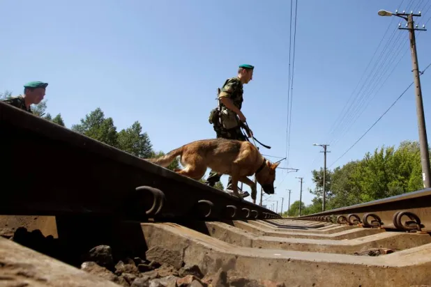 الحدود البيلاروسية البولندية القريبة من مدينة بريست (رويترز)