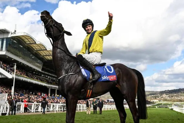 مايكل أوسوليفان (الاتحاد الآيرلندي للفروسية)