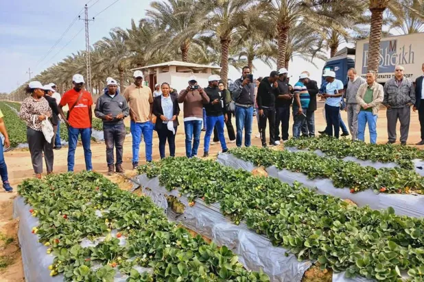 مصر تعمل على تأهيل 500 متدرب من القارة الأفريقية (وزارة الري المصرية)