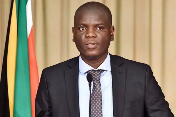 وزير خارجية جنوب أفريقيا رونالد لامولا (أرشيفية)