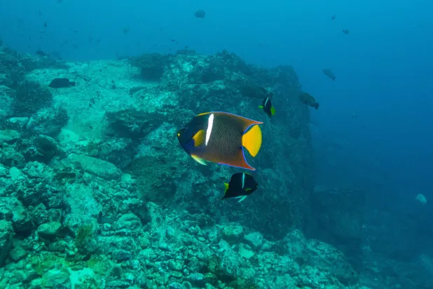 مَن يدرُس مَن... الإنسان أم السمكة؟ (أ.ف.ب)