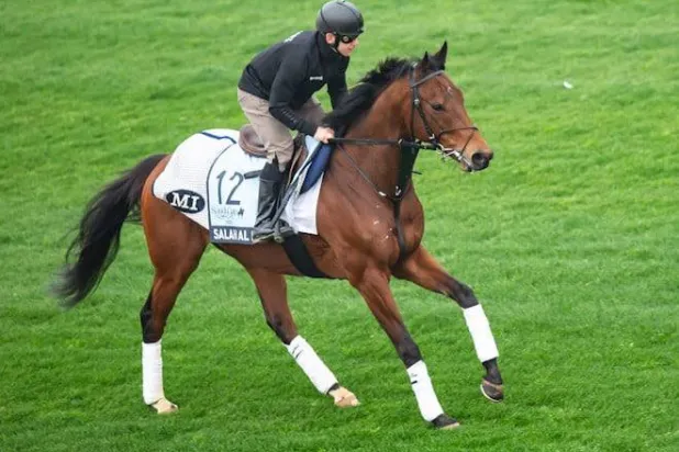 الجواد صلاح الدين (كأس السعودية)