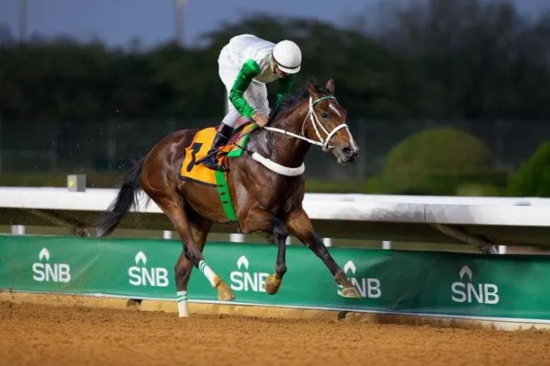 المصمك حقق انتصارين على مستوى ليستد بالمملكة المتحدة (كأس السعودية)