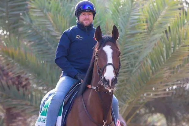 الحصان شيفان خلال التدريبات الصباحية (الشرق الأوسط)