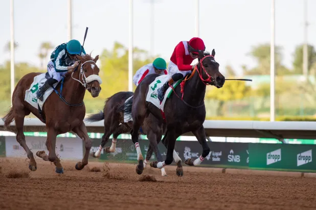 نخبة من أقوى الجياد ستتنافس اليوم على الجائزة الكبرى (الشرق الأوسط)