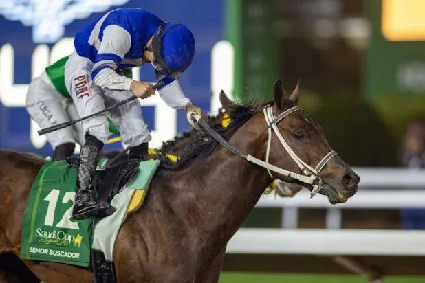 كأس السعودية رسخ مكانته كواحد من أبرز سباقات الخيل العالمية (الشرق الأوسط)