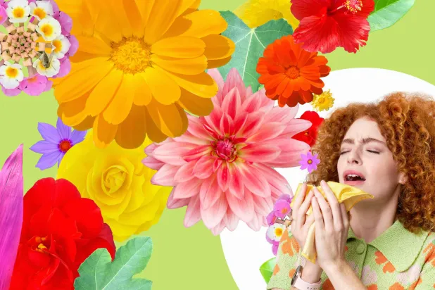 فك شفرة الأسرار الجينية... للحساسية