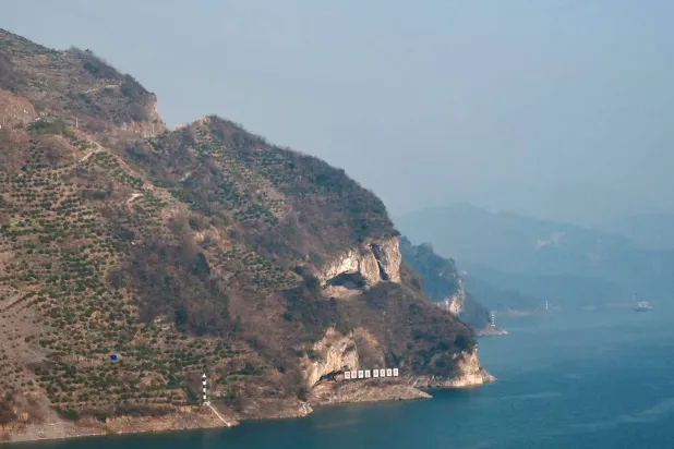 جمالُ الغرابة (إكس)