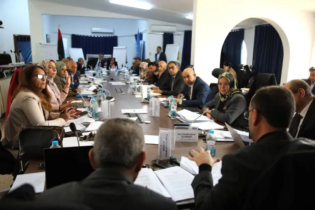 اللجنة الاستشارية الأممية (البعثة الأممية)