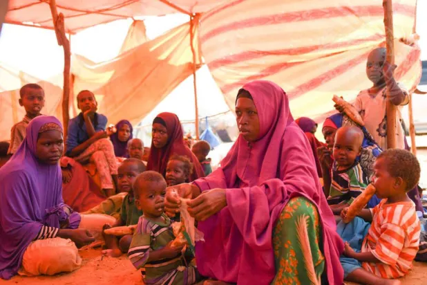 عانى الصومال صدمات مناخية بسبب تناقص هطول الأمطار ​​في أواخر عام 2024 مما أدى إلى تقليل الغلال بشكل كبير واستنزاف مصادر المياه (الأمم المتحدة)