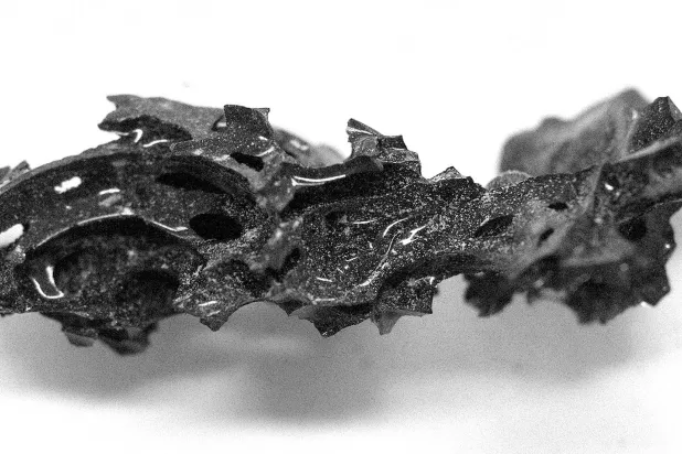 تم العثور على جزء من الزجاج العضوي داخل جمجمة شاب من العصر الروماني (رويترز)