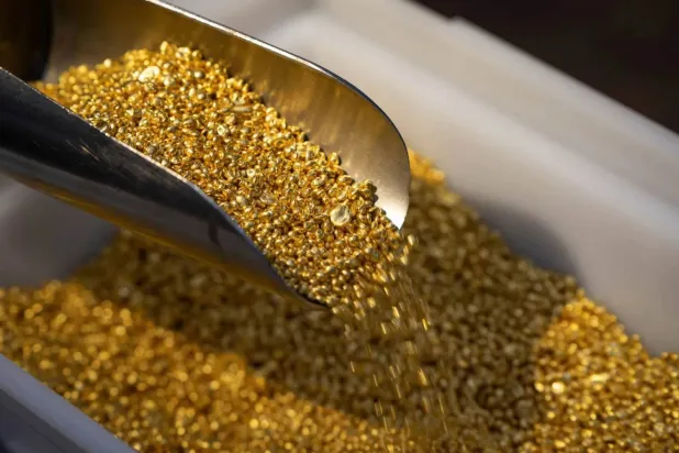 Rusya'nın Krasnoyarsk kentindeki Krastsvemet Tesisi’nde saf altın taneleri (Reuters)