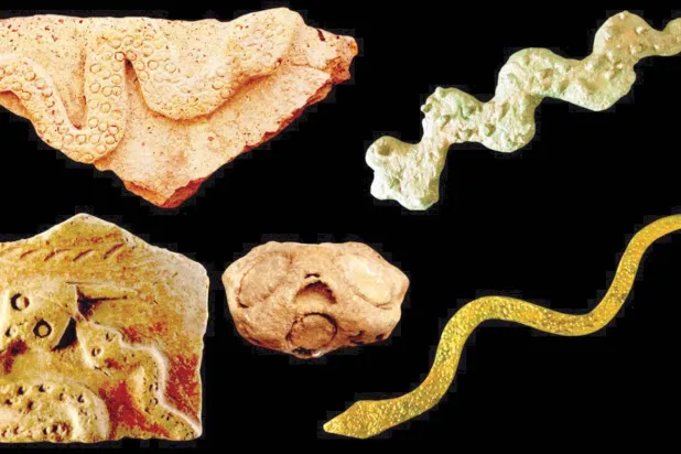 5 قطع ثعبانية من موقع سلّوت الأثري في سلطنة عُمان