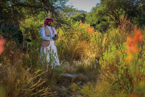 رجل يتوسط الأشجار في منطقة جبال السودة في منطقة عسير جنوب السعودية (موقع المبادرة)