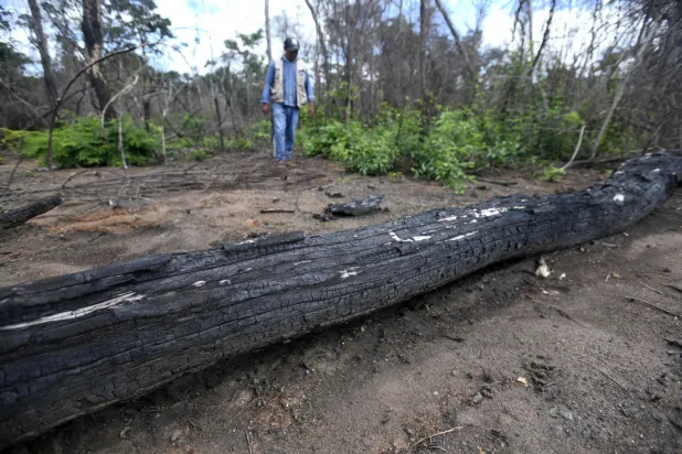 رجل وسط مساحة محترقة في سانتا آنا دي فيلاسكو (أ.ف.ب)