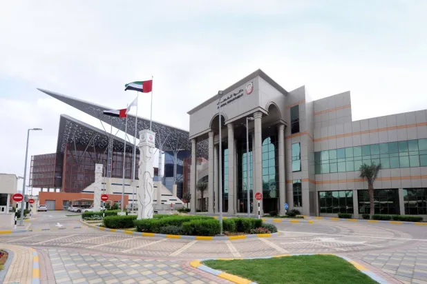 دائرة القضاء في دبي (وام)