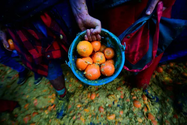 رجل يحمل سلة من البرتقال وسط حدث سنوي في إيطاليا (رويترز)