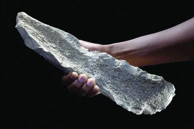 صورة أرشيفية لعظام (رويترز)