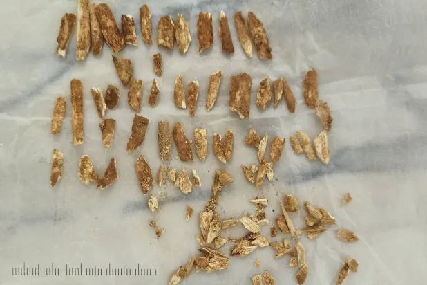 فكّ ألغاز الماضي (أ.ب)