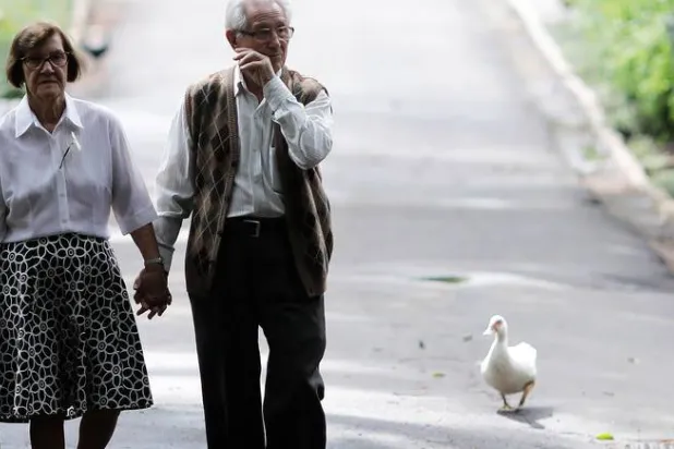 كروموسومات «إكس» قد تكون السبب وراء عيش الإناث فترة أطول من الذكور وتباطؤ الشيخوخة المعرفية لديهن (رويترز)