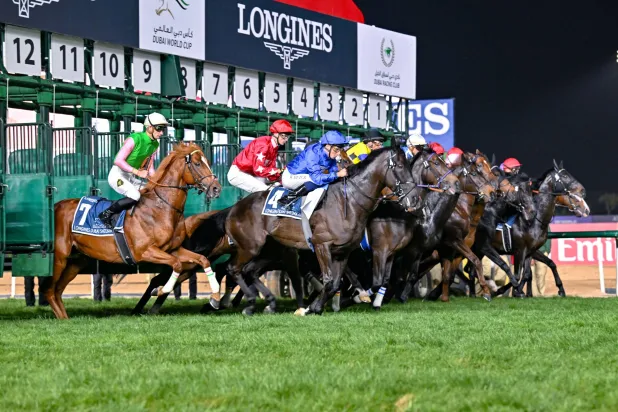 نادي دبي لسباق الخيل... مسيرة نجاح وتألق عالمي