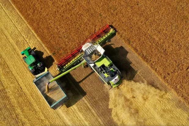 مزارع مجموعة «كونتيننتال فارمز» الأوكرانية المملوكة لشركة «سالك» السعودية (الشرق الأوسط)