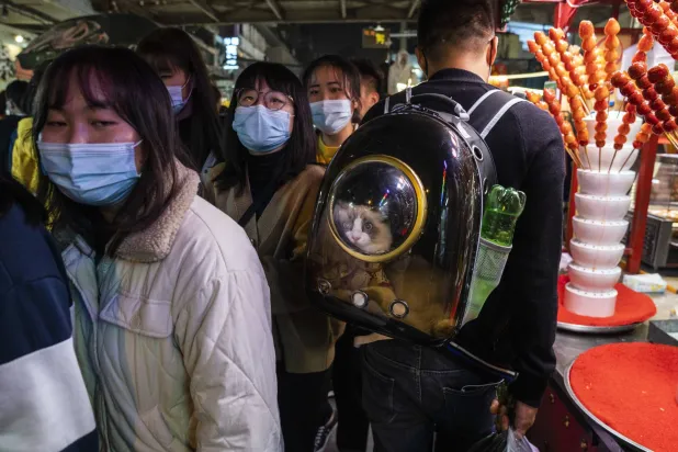 ألمانيا تطلب من علماء التحقق من الأدلة التي قدمها جهاز الاستخبارات بشأن نشأة فيروس كورونا في مختبر صيني (أ.ب)