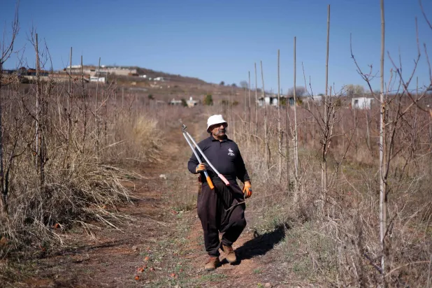 مزارع درزي يسير في حقل بالقرب من قرية مجدل شمس الدرزية في مرتفعات الجولان (أ.ف.ب)