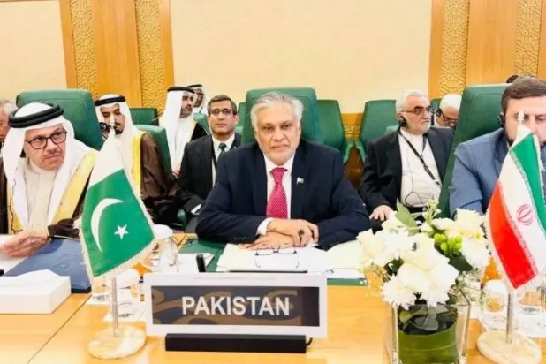Pakistan’s Deputy Prime Minister and Foreign Minister addressing the OIC Foreign Ministers’ meeting in Jeddah (Pakistan Ministry of Foreign Affairs website)