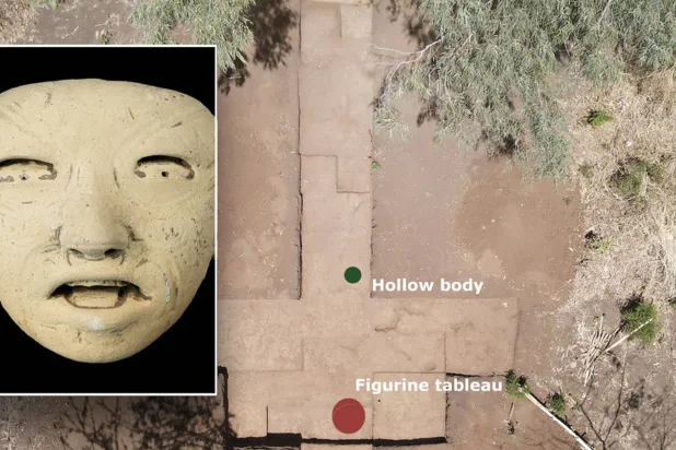 تعابيرها الحيّة مخيفة (مطبعة جامعة كمبردج)