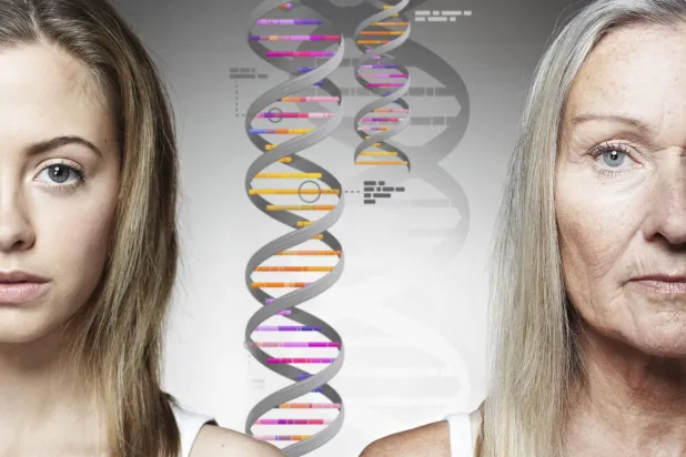 جين يفتح آفاقاً جديدة لعلاج الشيخوخة