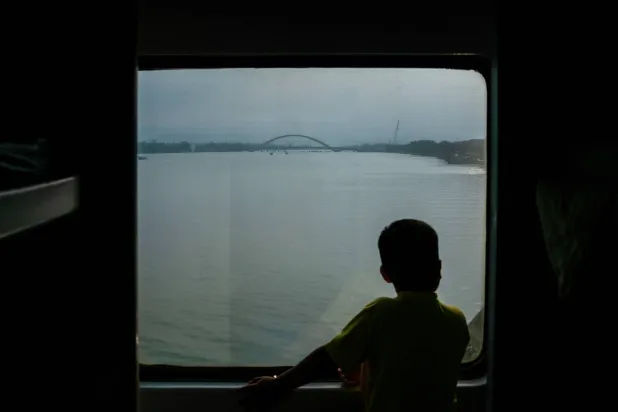 خشب شفاف يُصنع من الأرز وبياض البيض... قد يحل محل النوافذ