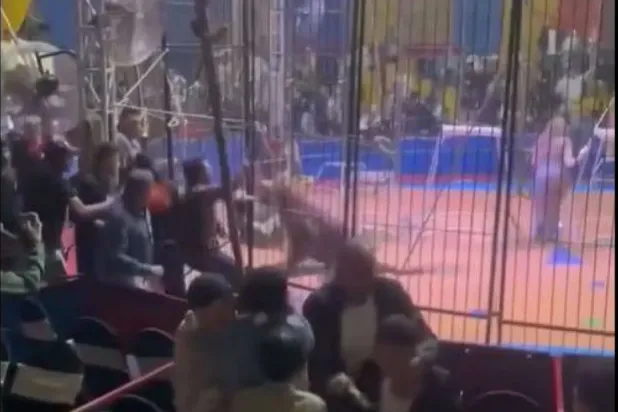 حادث السيرك في طنطا بدلتا مصر (فيسبوك)