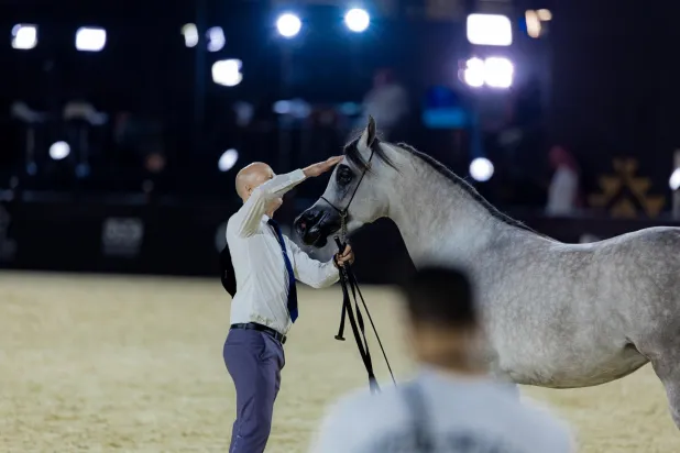 مجموعة من أبرز الحكّام ستقوم بتقييم الجياد (الشرق الأوسط)