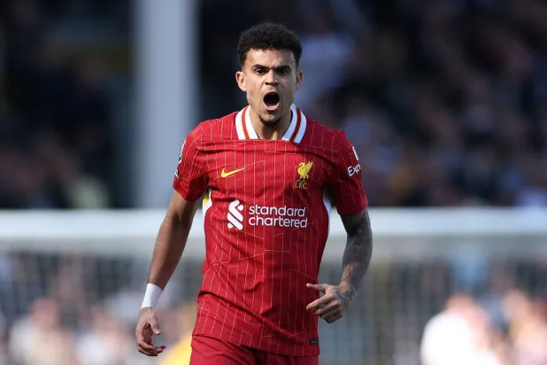 الكولومبي لويس دياز لاعب ليفربول (رويترز)