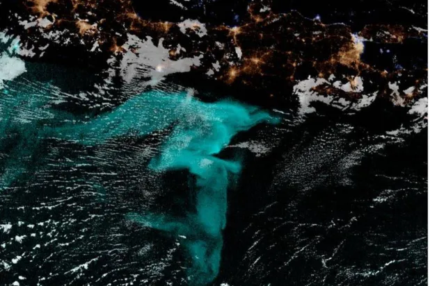 حكاياتُ بحارٍ زاهية الألوان تتوهّج في الليالي المظلمة (جامعة ولاية كولورادو)