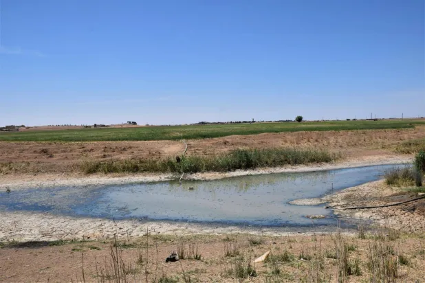 بركة ماء توشك على الجفاف (الشرق الأوسط)