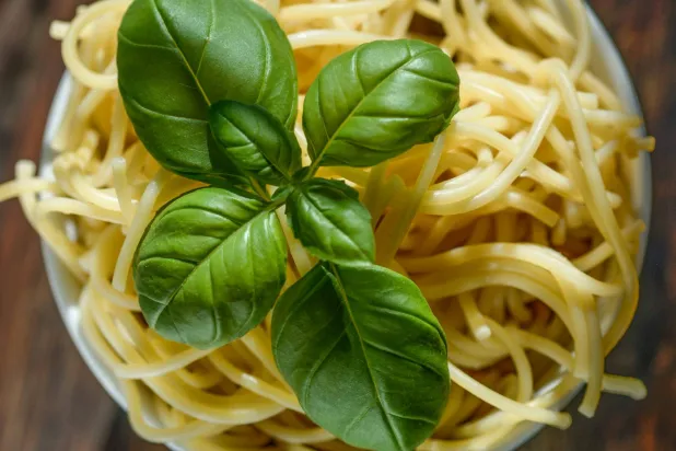 أكواب المعكرونة... تعزف على وتر ذائقة الشباب المصري