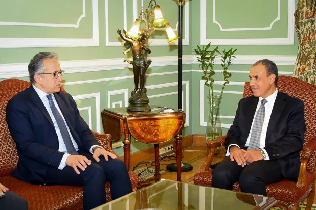 عبد العاطي والعناني ينسقان الجهود لحشد الدعم الدولي الانتخابات (مجلس الوزراء المصري)