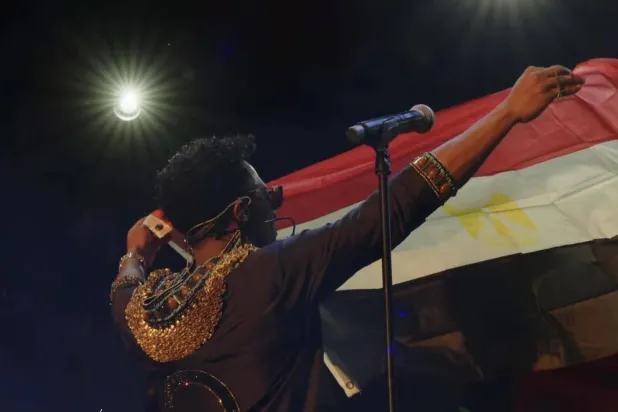 محمد رمضان يرفع العلم المصري خلال الحفل (حسابه بموقع «فيسبوك»)