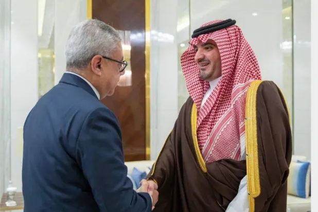 وزير الداخلية السعودي يستقبل السفير المصري في الرياض (الخارجية المصرية)