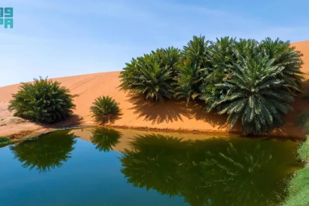 حديقة شمال الرياض (واس)