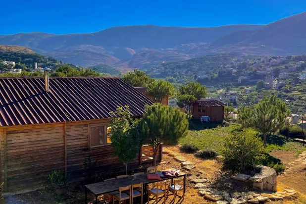 يمتدُّ مشروع «Farmville» على مساحة 10 آلاف متر مربَّع ويظلِّله أرز الباروك المعمِّر (الشرق الأوسط)